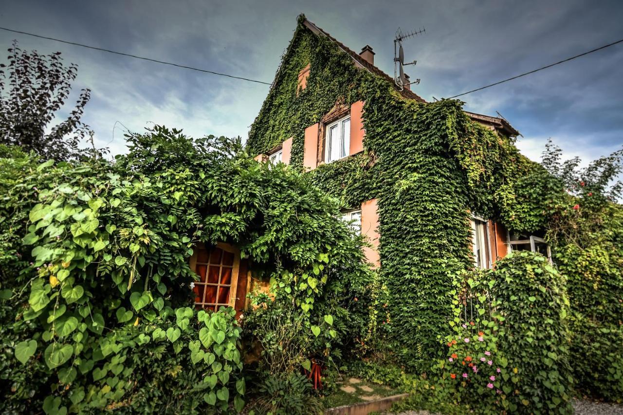 ❊ Au Murmure De L'Eau Au Coeur De L'Alsace ❊ Ebersheim Luaran gambar