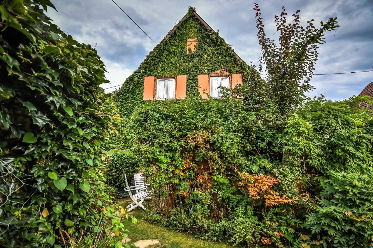 ❊ Au Murmure De L'Eau Au Coeur De L'Alsace ❊ Villa Ebersheim Luaran gambar